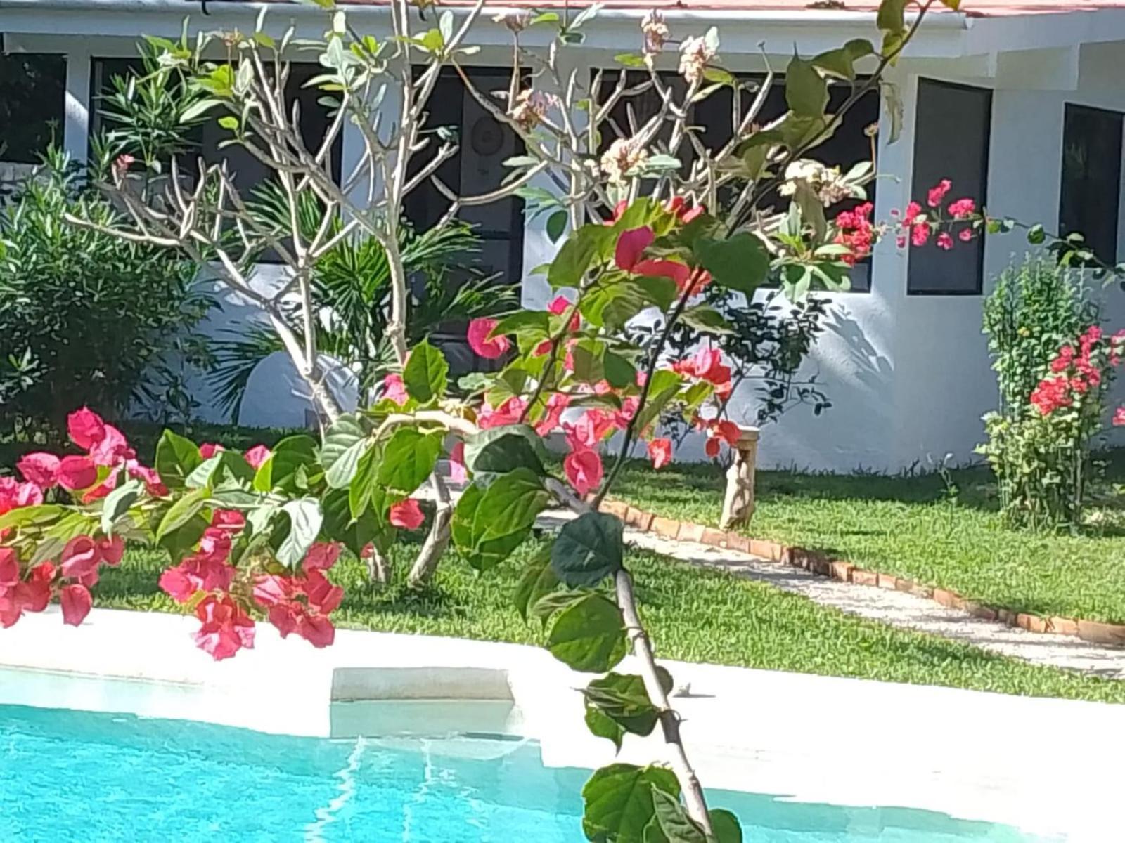 Kerubin Dorado Aparthotel Akumal Bagian luar foto