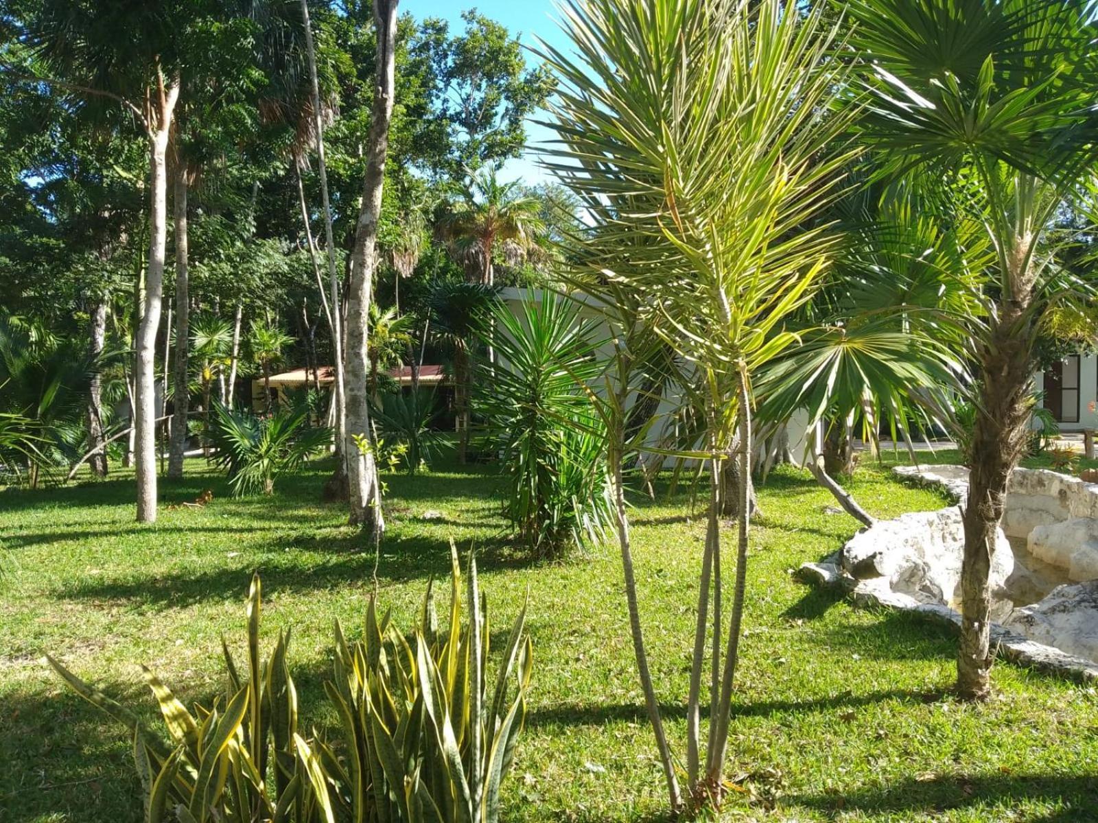 Kerubin Dorado Aparthotel Akumal Bagian luar foto