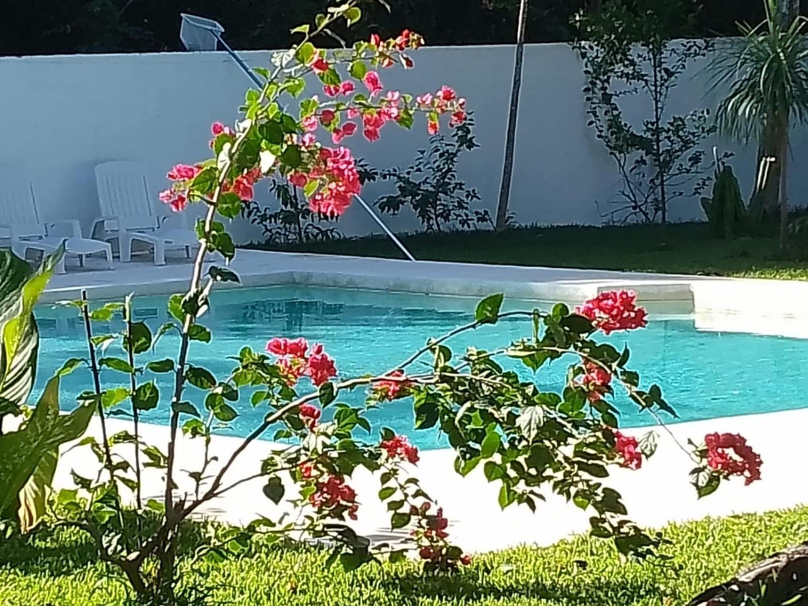 Kerubin Dorado Aparthotel Akumal Bagian luar foto